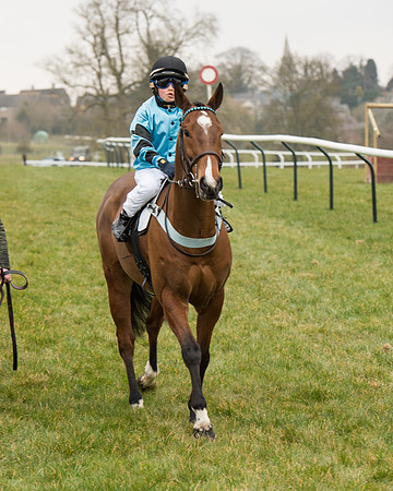 Bicester Ponies-104.jpg