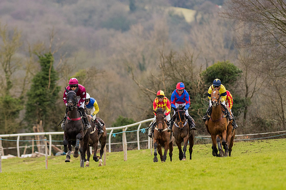 Race 5 - Open Maiden (4 of 38).jpg