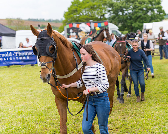 Race 7 - Veteran Horse conditions (23 of 244)