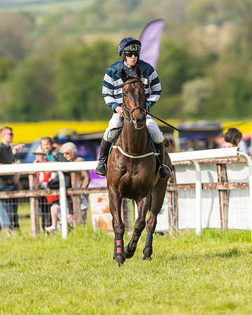 Race 5 - Restricted  (22 of 164)