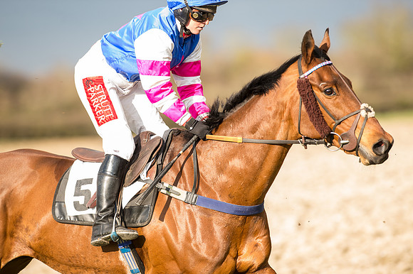 Race 4 - Ladies Open (49 of 100).jpg