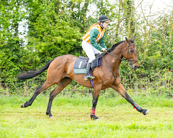 Race 2 - 2M4F Conditions (41 of 195)