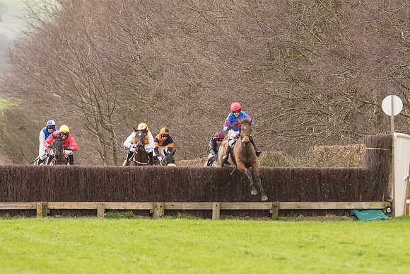 Race 2 - Young Horse Maiden (61 of 110).jpg