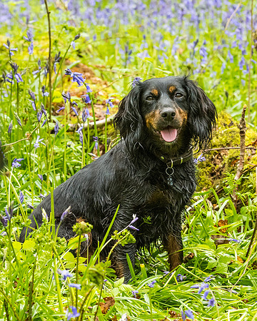 Anne BnB  (110 of 227)