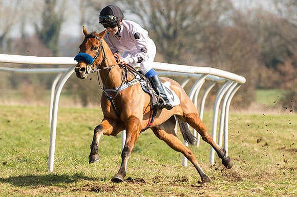 Pony Race 2 - 138 -  (26 of 28).jpg