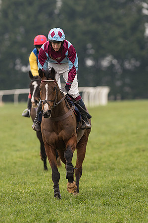 Race 5 - The Restricted Race (83 of 86).jpg