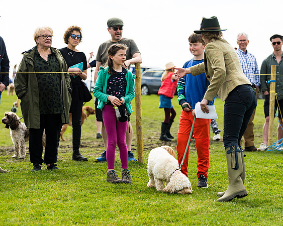 Dog show etc (40 of 157)