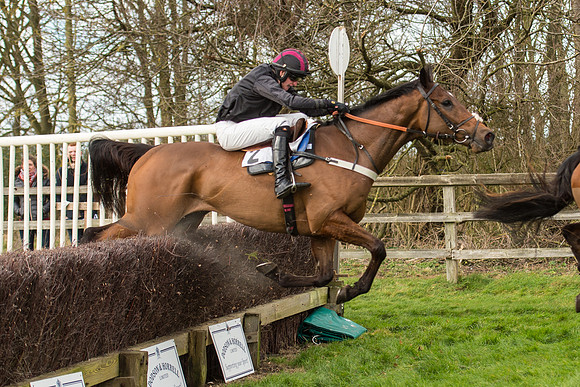 Race 2 - Young Horse Maiden (83 of 110).jpg