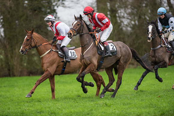 Race 5 - Ladies Open Race (7 of 119).jpg