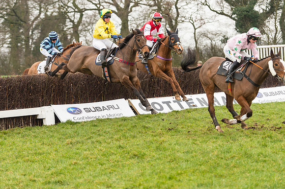 Race 4 - Ladies Open Race (67 of 96).jpg