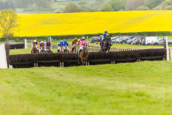 Race 7 - Veteran Horse conditions (100 of 244)