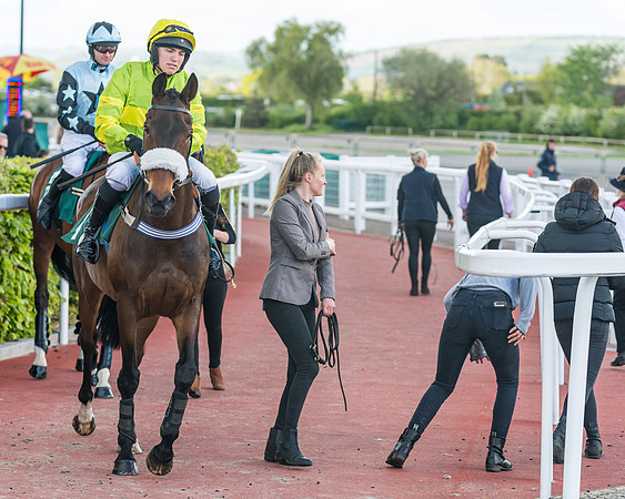 Race 3 - KTDA Open Hunter Chase (91 of 317)