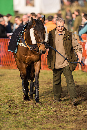 Race 4 - Novice and Veteran Riders (10 of 115).jpg