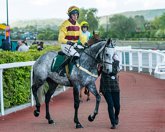 Race 5 - Mares Open  (60 of 329)