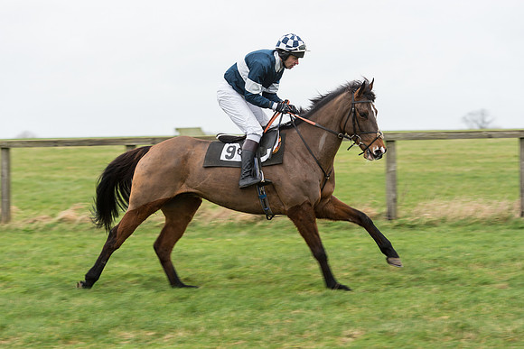 Race 7 - Open Maiden (8 of 131).jpg