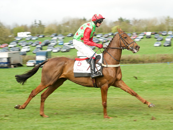 Race 5 - Restricted  14