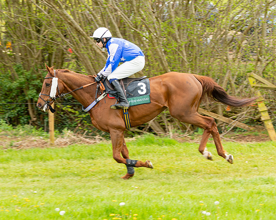 Race 2 - ROR and veteran Horse Conditions race (3 of 77)