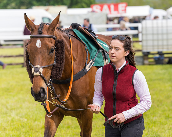 Race 2 - Owner-Trainer Conditions  (9 of 208)
