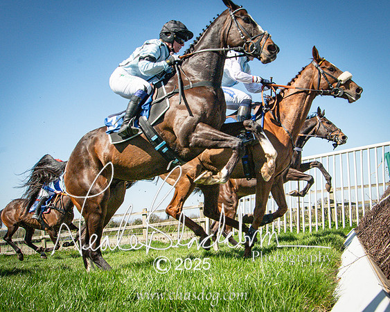 Race 2 - The Maiden (68 of 118)