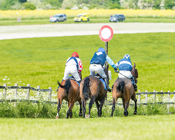 Race 4 - Mixed Open  (319 of 461)