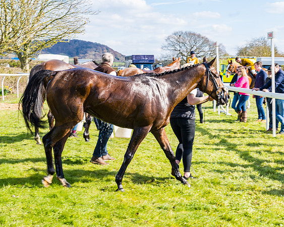 Race 4 - The Warehouse Reit Mixed Open Race  (110 of 124)