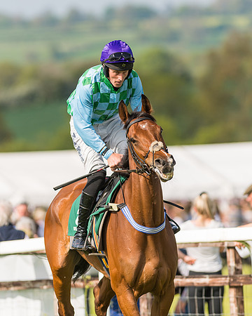 Race 5 - Restricted  (39 of 164)