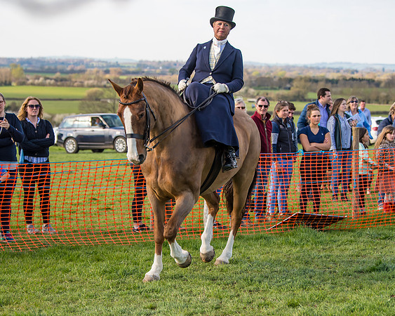 Side Saddle dash  (3 of 170)