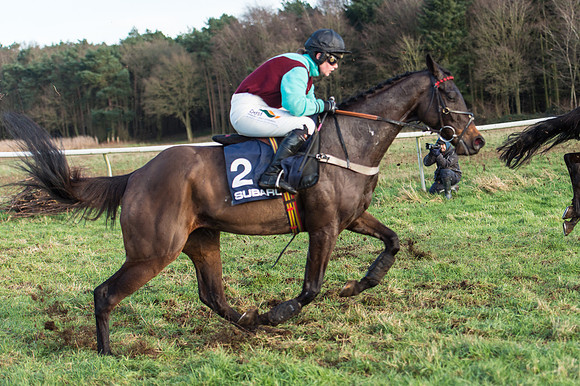 Race 5 - Restricted Race (81 of 107).jpg