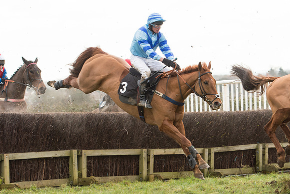 Race 5 - 2M 4F Conditions (42 of 96).jpg
