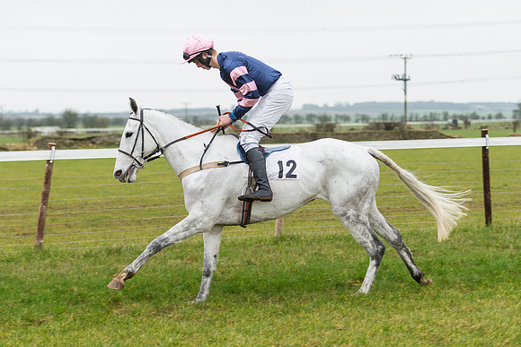 Race 6 - Open Maiden Race Div 2  (24 of 118).jpg