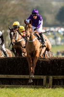 Race 3 - Kent Grand National (7 of 76)-3.jpg