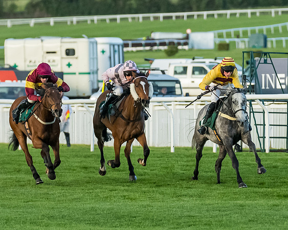 Race 5 - Mares Open  (116 of 329)