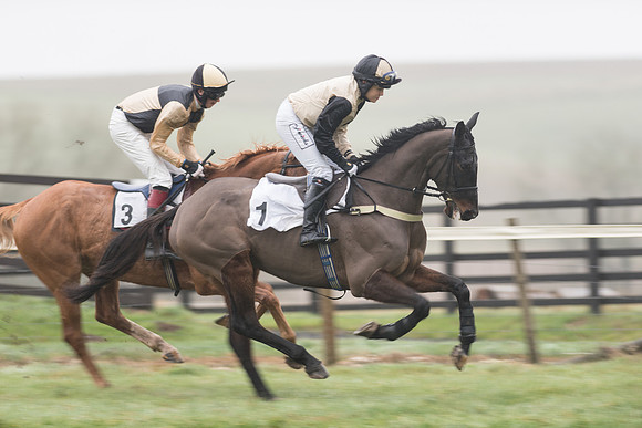 Race 5 - The Intermediate (7 of 59).jpg