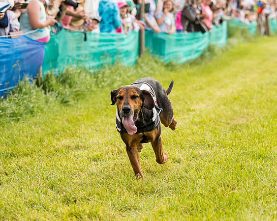 Draghounds Race (130 of 212)