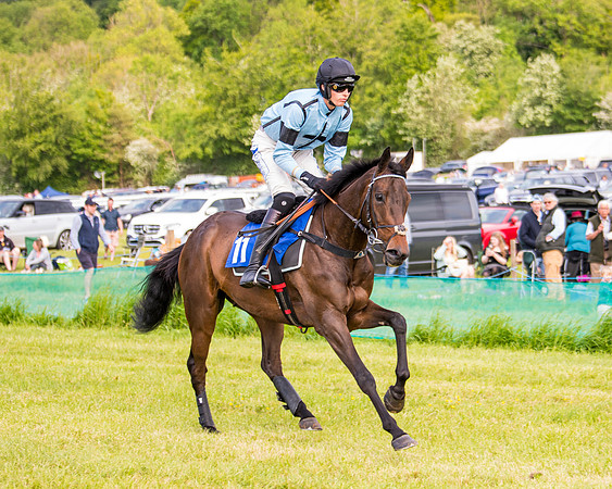 Race 6 - Open Maiden (126 of 346)