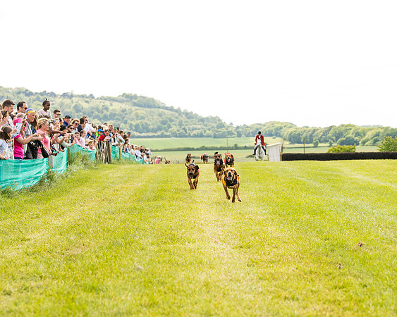 Draghounds Race (82 of 212)