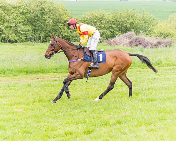 Race 6 - Maiden (8 of 129)