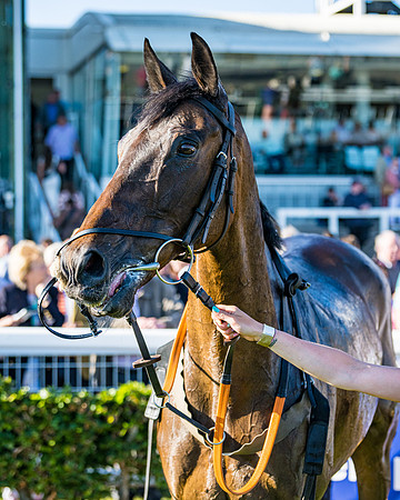 Race 2 - Ladies Open Final  (105 of 114)