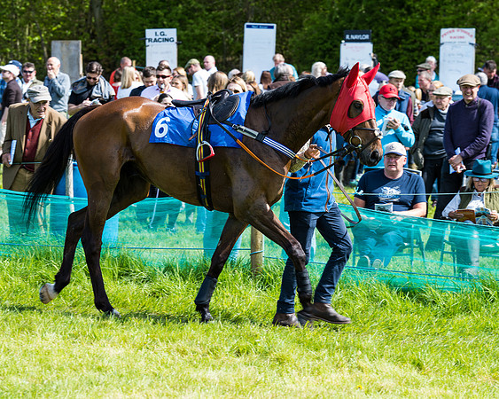 Race 3 - The Ladies open (14 of 104)