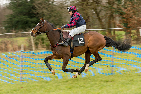 Race 2 - Novice and Veterans   (5 of 101).jpg