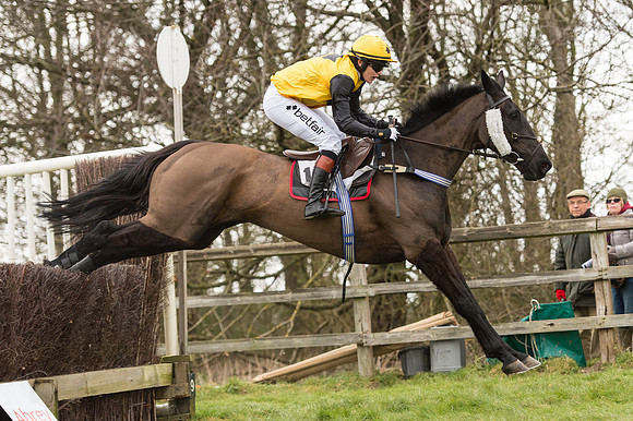 Race 2 - PPORA Novice riders  (161 of 186).jpg