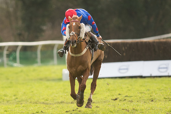 Race 5 - 2M 4F Conditions (88 of 96).jpg
