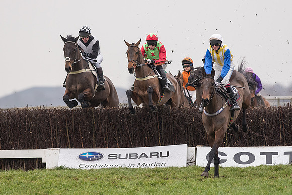 Race 6 - Open Maiden Div 2 (45 of 97).jpg