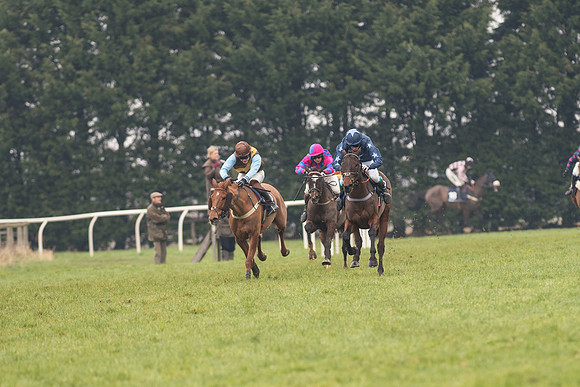 Race 5 - The Restricted Race (61 of 86).jpg