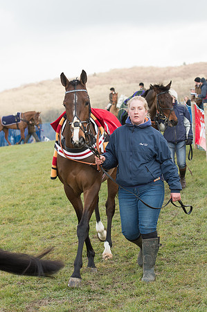 Race 1 - Div 2 - Young Horse Maiden (5 of 122).jpg