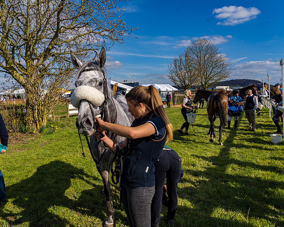 Race 4 - The Warehouse Reit Mixed Open Race  (86 of 124)