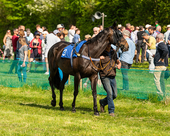 Race 6 - Maiden [2m4f] (2 of 135)