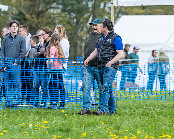 Race 2 - Veteran Horse  (9 of 82)