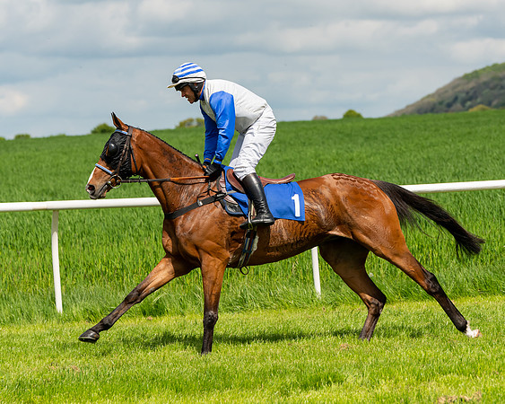 Race 1 - The Condiitions race (32 of 123)