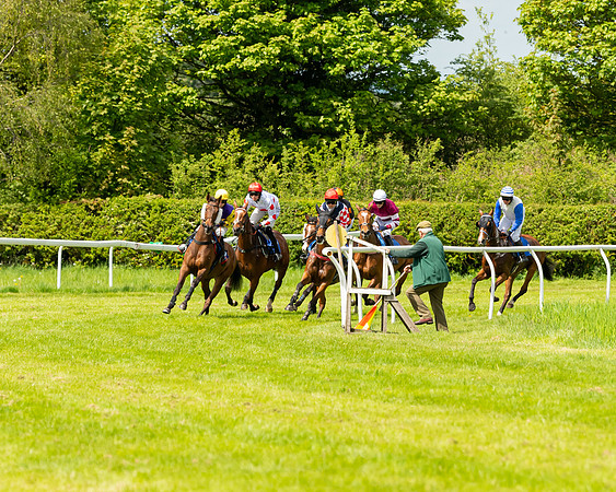 Race 1 - The Condiitions race (45 of 123)